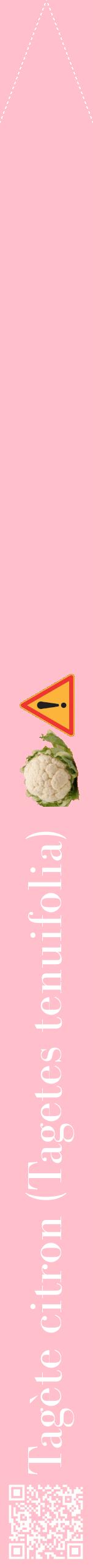 Étiquette de : Tagetes tenuifolia - format b - style blanche40bod avec qrcode et comestibilité simplifiée