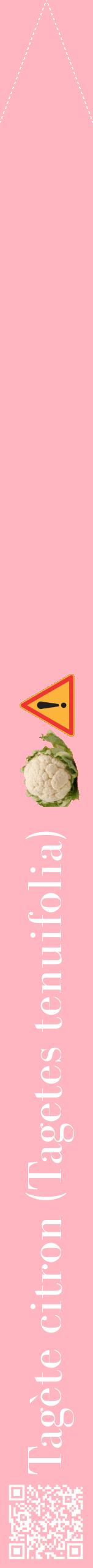 Étiquette de : Tagetes tenuifolia - format b - style blanche41bod avec qrcode et comestibilité simplifiée
