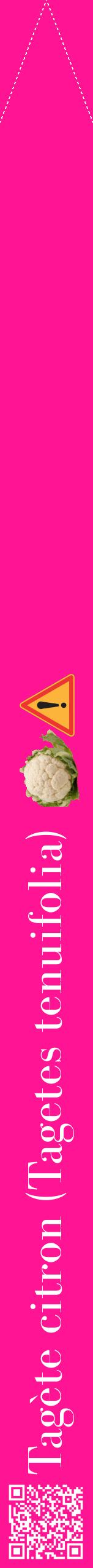 Étiquette de : Tagetes tenuifolia - format b - style blanche43bod avec qrcode et comestibilité simplifiée
