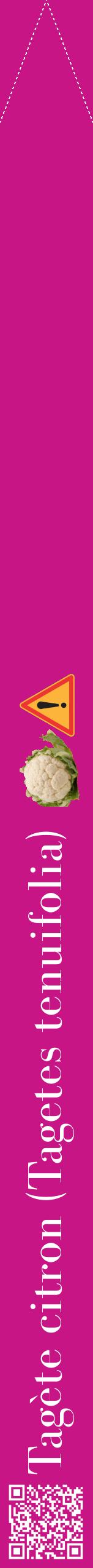 Étiquette de : Tagetes tenuifolia - format b - style blanche45bod avec qrcode et comestibilité simplifiée