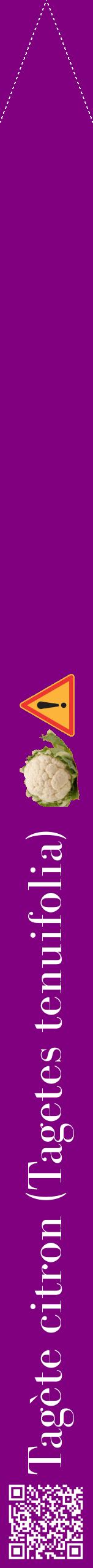 Étiquette de : Tagetes tenuifolia - format b - style blanche46bod avec qrcode et comestibilité simplifiée