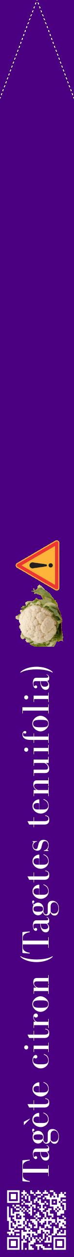 Étiquette de : Tagetes tenuifolia - format b - style blanche47bod avec qrcode et comestibilité simplifiée