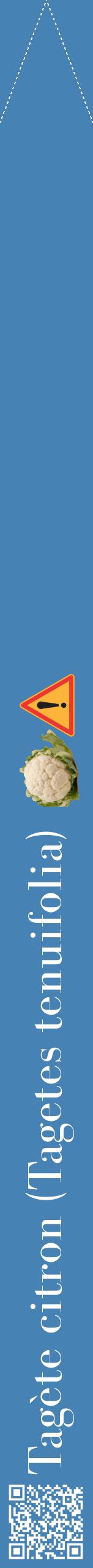 Étiquette de : Tagetes tenuifolia - format b - style blanche5bod avec qrcode et comestibilité simplifiée