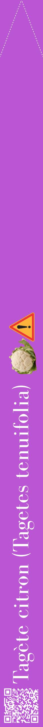 Étiquette de : Tagetes tenuifolia - format b - style blanche50bod avec qrcode et comestibilité simplifiée