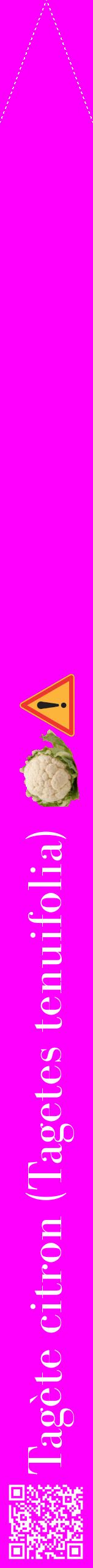 Étiquette de : Tagetes tenuifolia - format b - style blanche51bod avec qrcode et comestibilité simplifiée