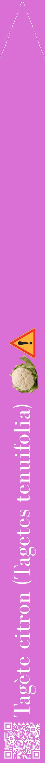 Étiquette de : Tagetes tenuifolia - format b - style blanche52bod avec qrcode et comestibilité simplifiée