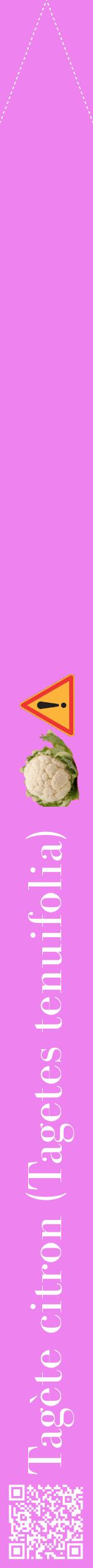 Étiquette de : Tagetes tenuifolia - format b - style blanche53bod avec qrcode et comestibilité simplifiée