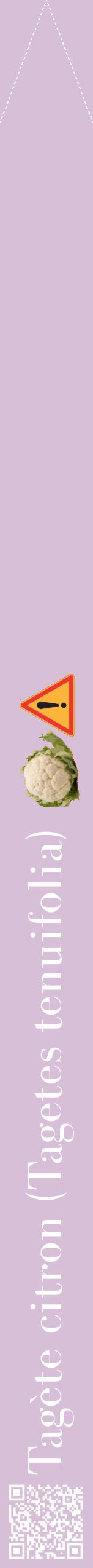 Étiquette de : Tagetes tenuifolia - format b - style blanche54bod avec qrcode et comestibilité simplifiée