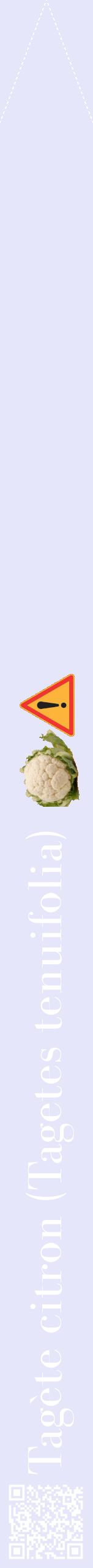 Étiquette de : Tagetes tenuifolia - format b - style blanche55bod avec qrcode et comestibilité simplifiée