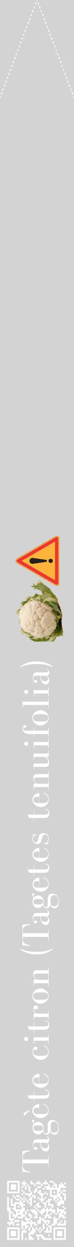 Étiquette de : Tagetes tenuifolia - format b - style blanche56bod avec qrcode et comestibilité simplifiée