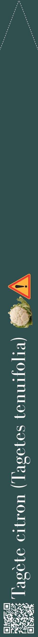 Étiquette de : Tagetes tenuifolia - format b - style blanche58bod avec qrcode et comestibilité simplifiée