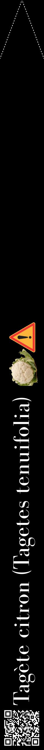 Étiquette de : Tagetes tenuifolia - format b - style blanche59bod avec qrcode et comestibilité simplifiée