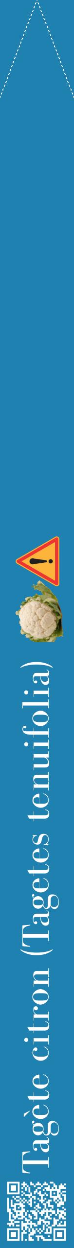 Étiquette de : Tagetes tenuifolia - format b - style blanche6bod avec qrcode et comestibilité simplifiée