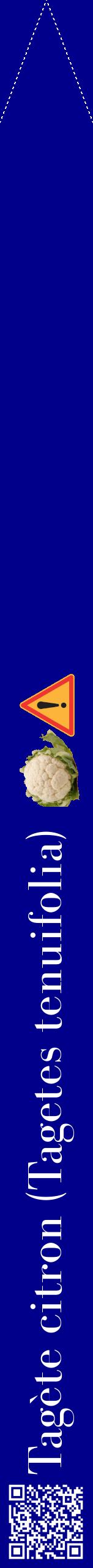 Étiquette de : Tagetes tenuifolia - format b - style blanche7bod avec qrcode et comestibilité simplifiée