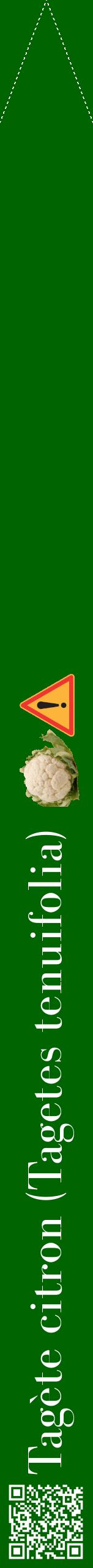 Étiquette de : Tagetes tenuifolia - format b - style blanche8bod avec qrcode et comestibilité simplifiée