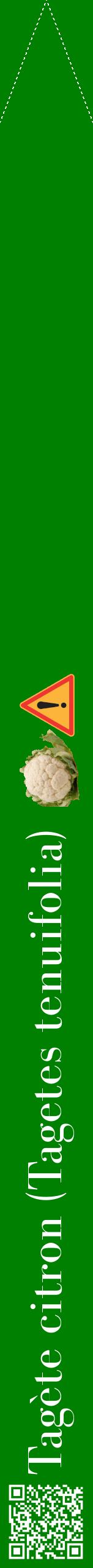Étiquette de : Tagetes tenuifolia - format b - style blanche9bod avec qrcode et comestibilité simplifiée