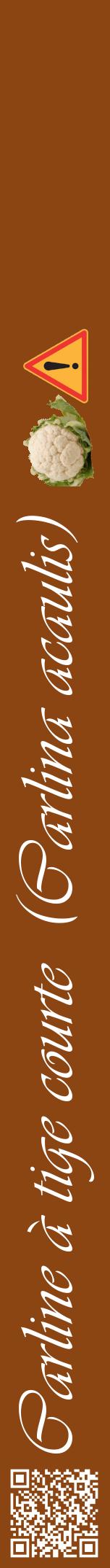 Étiquette de : Carlina acaulis - format a - style blanche30viv avec qrcode et comestibilité simplifiée