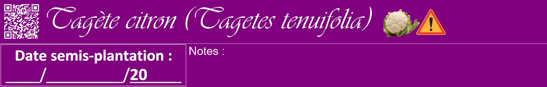 Étiquette de : Tagetes tenuifolia - format a - style blanche46basiqueviv avec qrcode et comestibilité simplifiée