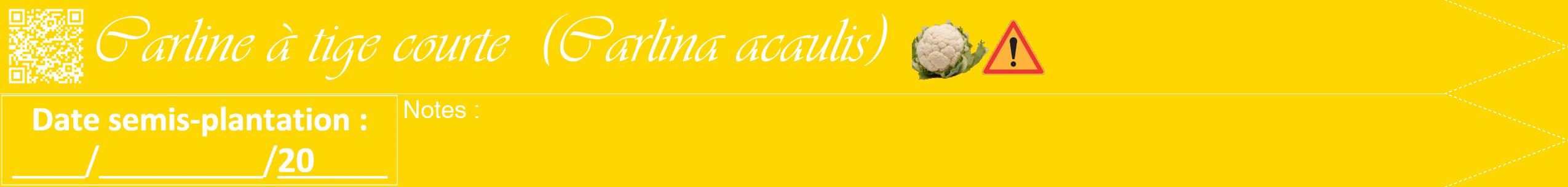 Étiquette de : Carlina acaulis - format b - style blanche21viv avec qrcode et comestibilité simplifiée