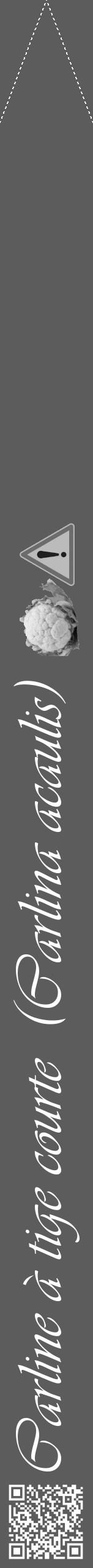 Étiquette de : Carlina acaulis - format b - style blanche49viv avec qrcode et comestibilité simplifiée - position verticale
