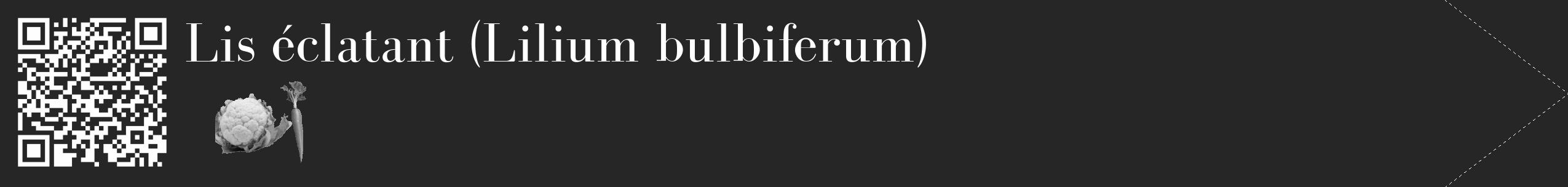 Étiquette de : Lilium bulbiferum - format c - style blanche29_simple_simplebod avec qrcode et comestibilité simplifiée