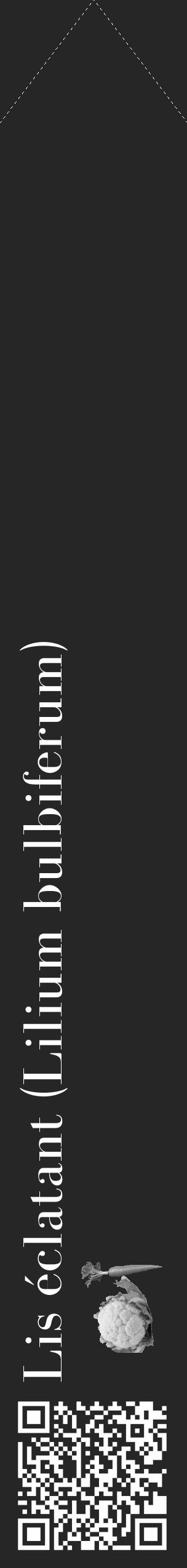Étiquette de : Lilium bulbiferum - format c - style blanche29_simple_simplebod avec qrcode et comestibilité simplifiée - position verticale