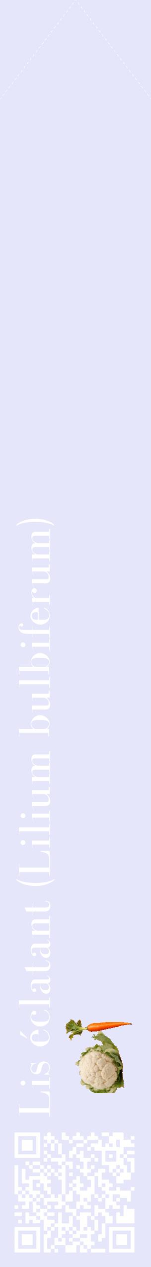 Étiquette de : Lilium bulbiferum - format c - style blanche55_simplebod avec qrcode et comestibilité simplifiée