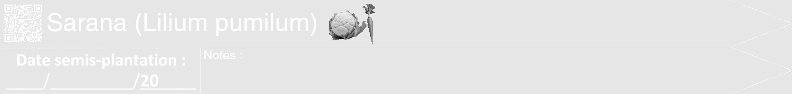 Étiquette de : Lilium pumilum - format b - style blanche18hel avec qrcode et comestibilité simplifiée