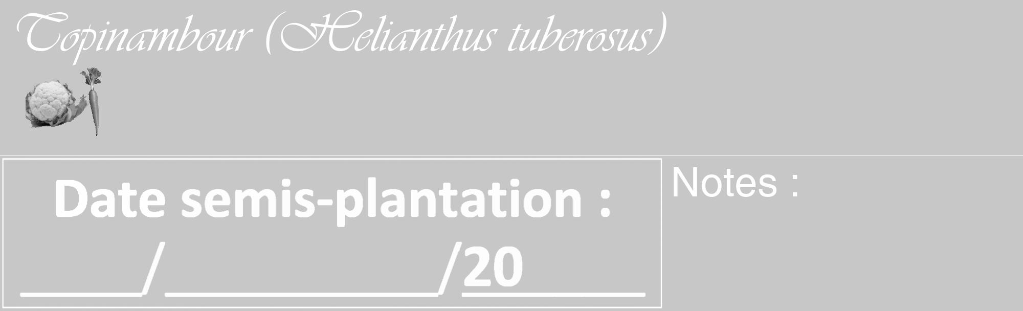Étiquette de : Helianthus tuberosus - format c - style blanche15_basique_basiqueviv avec comestibilité simplifiée