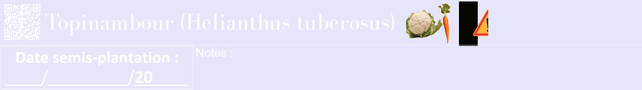 Étiquette de : Helianthus tuberosus - format a - style blanche55bod avec qrcode et comestibilité simplifiée