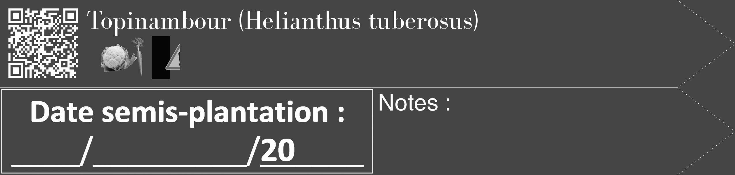 Étiquette de : Helianthus tuberosus - format c - style blanche58_simple_simplebod avec qrcode et comestibilité simplifiée