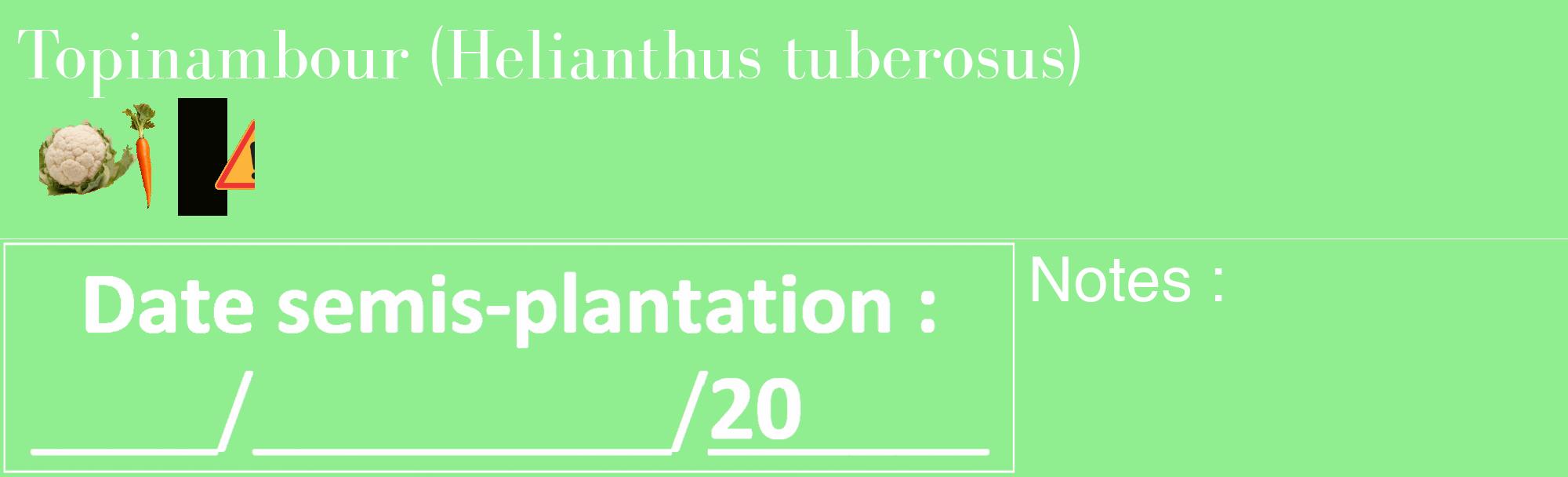 Étiquette de : Helianthus tuberosus - format c - style blanche15_basique_basiquebod avec comestibilité simplifiée