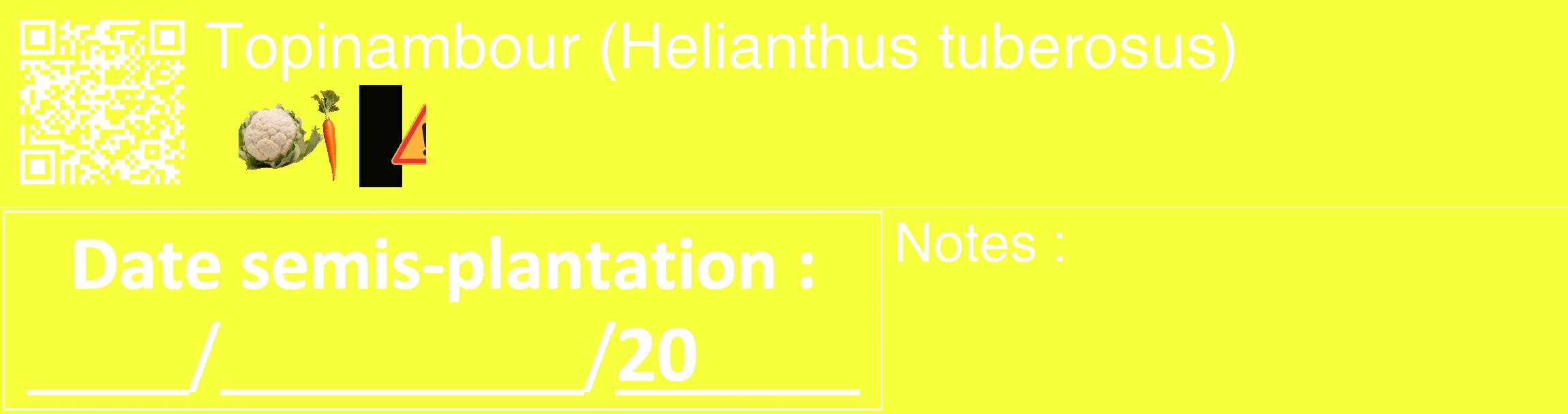 Étiquette de : Helianthus tuberosus - format c - style blanche18_basique_basiquehel avec qrcode et comestibilité simplifiée