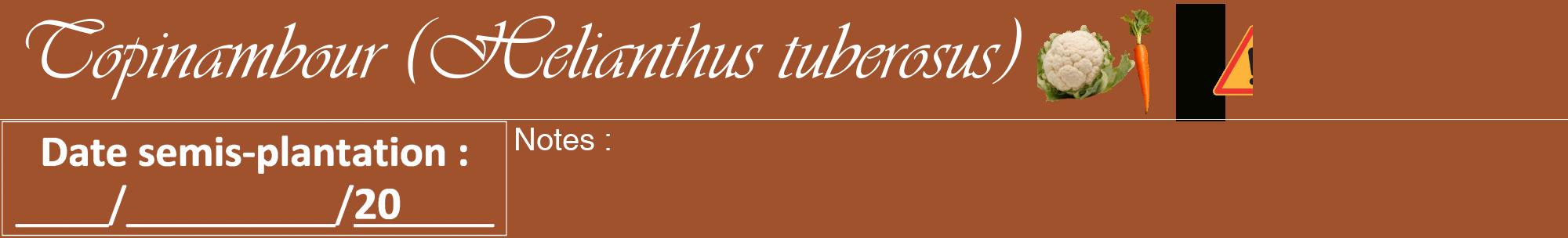 Étiquette de : Helianthus tuberosus - format a - style blanche32viv avec comestibilité simplifiée
