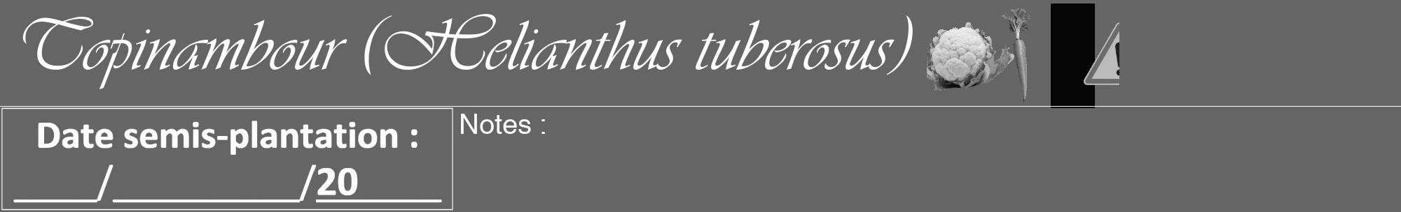 Étiquette de : Helianthus tuberosus - format a - style blanche32viv avec comestibilité simplifiée