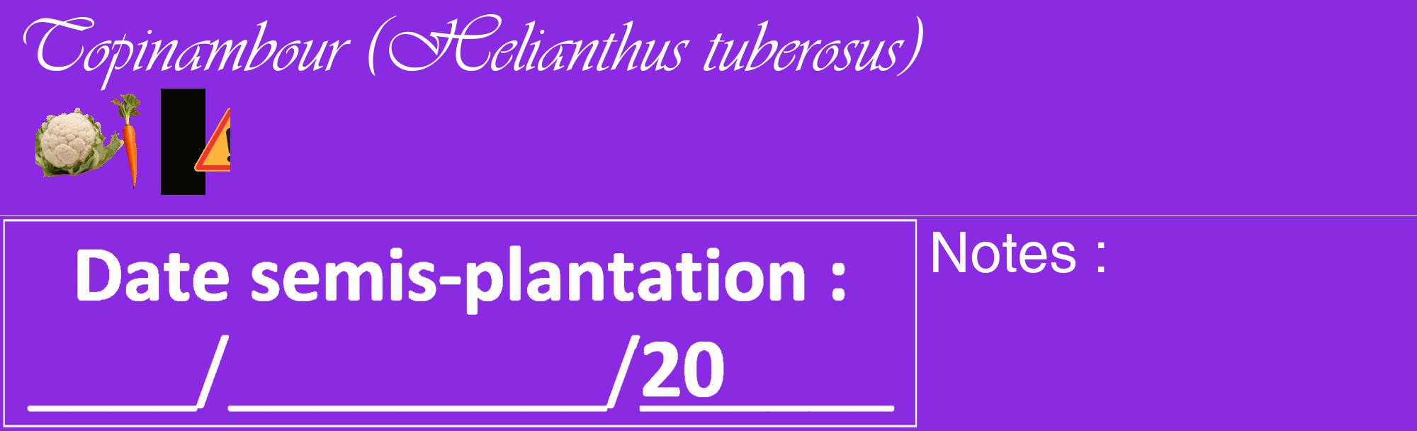 Étiquette de : Helianthus tuberosus - format c - style blanche49_basique_basiqueviv avec comestibilité simplifiée