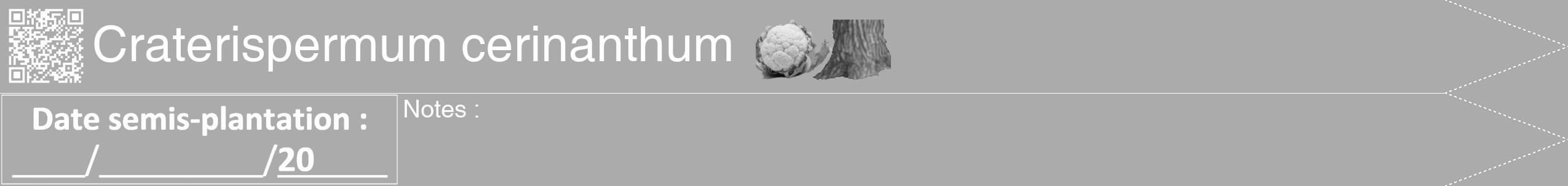Étiquette de : Craterispermum cerinanthum - format b - style blanche37hel avec qrcode et comestibilité simplifiée