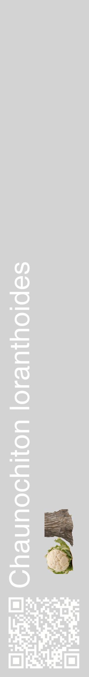 Étiquette de : Chaunochiton loranthoides - format c - style blanche56_basiquehel avec qrcode et comestibilité simplifiée