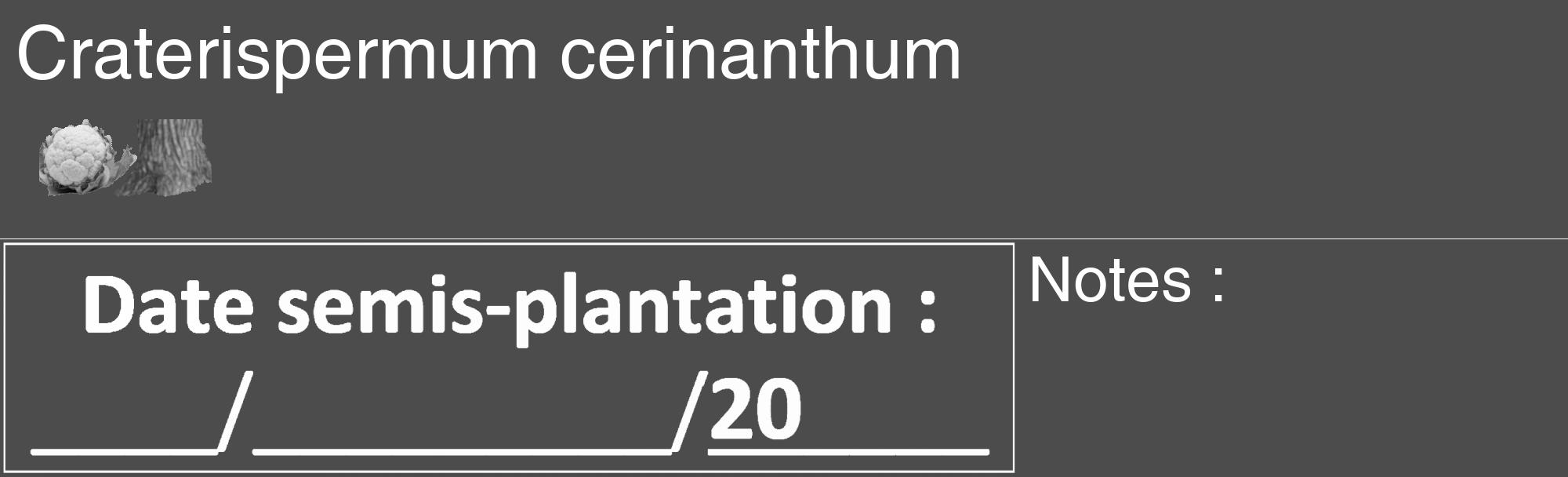 Étiquette de : Craterispermum cerinanthum - format c - style blanche27_basique_basiquehel avec comestibilité simplifiée