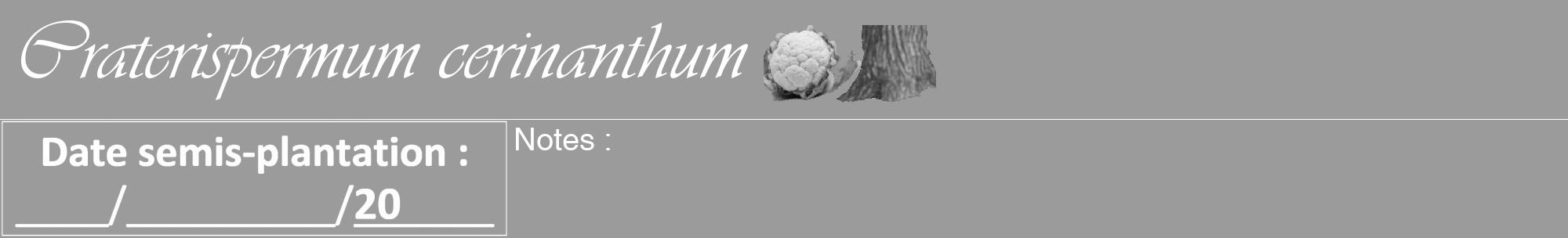 Étiquette de : Craterispermum cerinanthum - format a - style blanche52viv avec comestibilité simplifiée