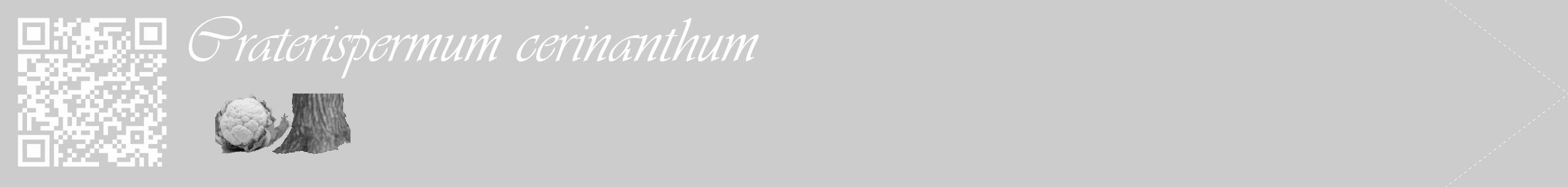 Étiquette de : Craterispermum cerinanthum - format c - style blanche0_simple_simpleviv avec qrcode et comestibilité simplifiée
