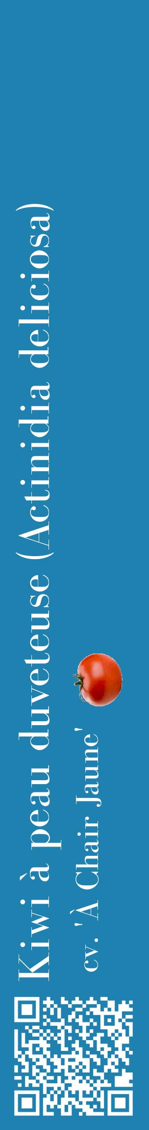 Étiquette de : Actinidia deliciosa cv. 'À Chair Jaune' - format c - style blanche6_basiquebod avec qrcode et comestibilité simplifiée