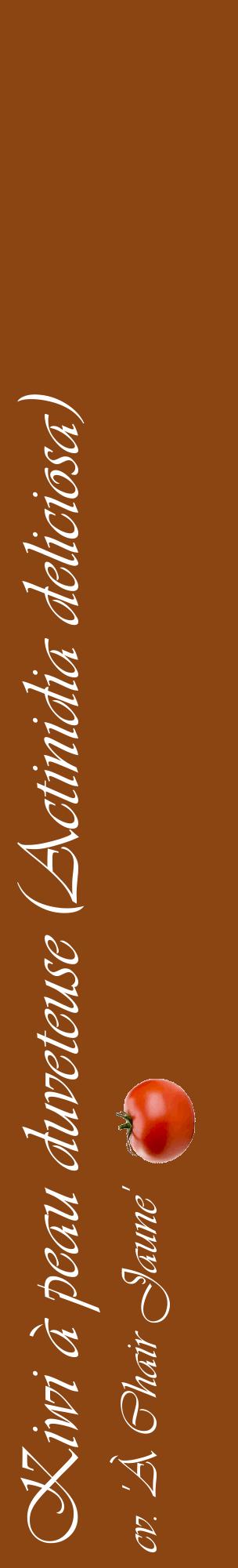 Étiquette de : Actinidia deliciosa cv. 'À Chair Jaune' - format c - style blanche30_basiqueviv avec comestibilité simplifiée