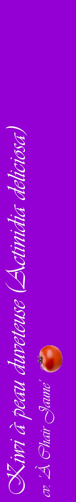 Étiquette de : Actinidia deliciosa cv. 'À Chair Jaune' - format c - style blanche48_basiqueviv avec comestibilité simplifiée