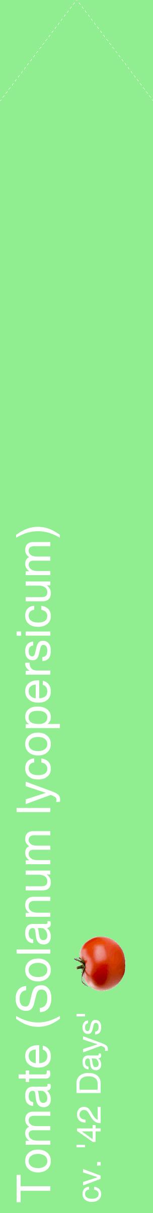 Étiquette de : Solanum lycopersicum cv. '42 Days' - format c - style blanche15_simplehel avec comestibilité simplifiée
