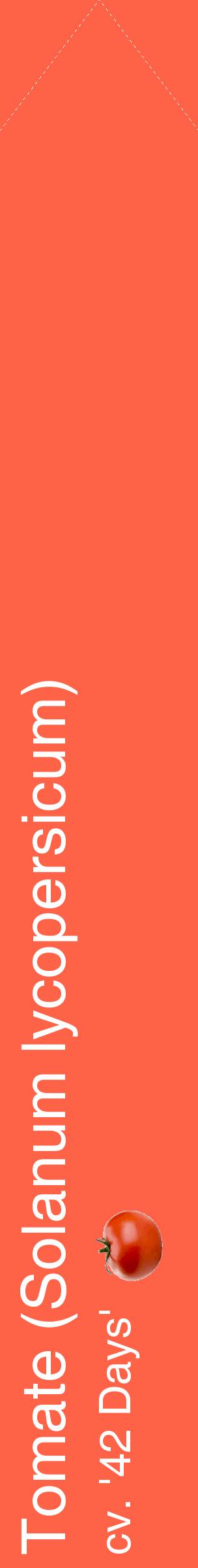 Étiquette de : Solanum lycopersicum cv. '42 Days' - format c - style blanche25simple_simple_simplehel avec comestibilité simplifiée - position verticale
