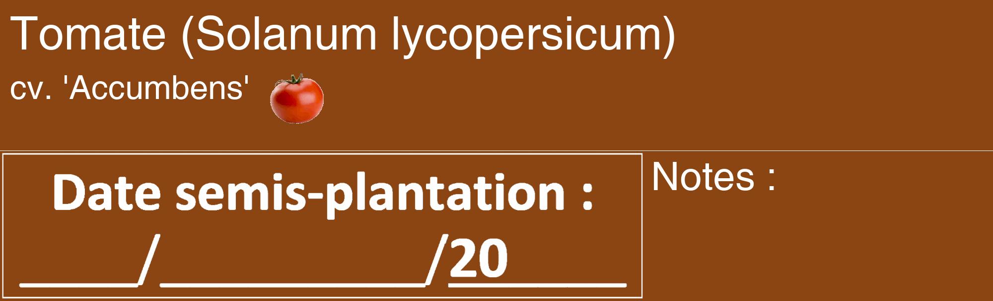 Étiquette de : Solanum lycopersicum cv. 'Accumbens' - format c - style blanche30_basique_basiquehel avec comestibilité simplifiée
