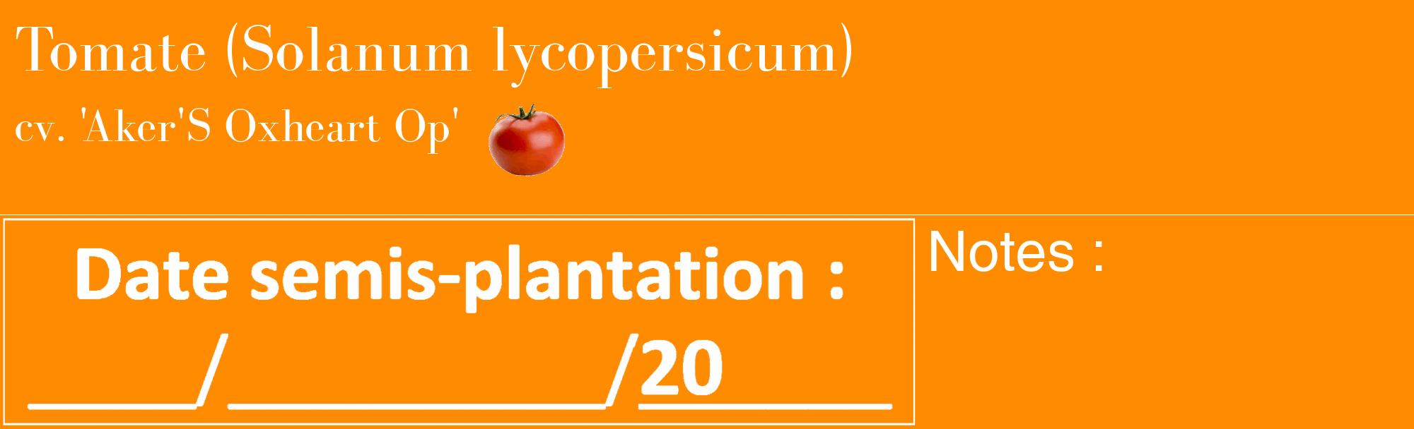 Étiquette de : Solanum lycopersicum cv. 'Aker'S Oxheart Op' - format c - style blanche23_basique_basiquebod avec comestibilité simplifiée