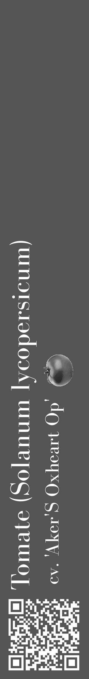 Étiquette de : Solanum lycopersicum cv. 'Aker'S Oxheart Op' - format c - style blanche30_basique_basiquebod avec qrcode et comestibilité simplifiée - position verticale