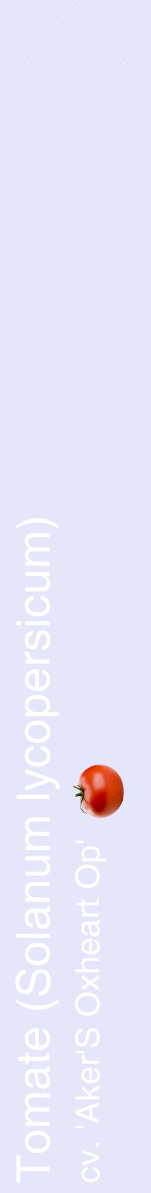 Étiquette de : Solanum lycopersicum cv. 'Aker'S Oxheart Op' - format c - style blanche55_simplehel avec comestibilité simplifiée